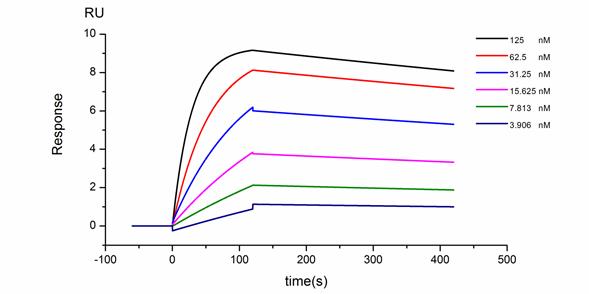 SPR親和力測(cè)定