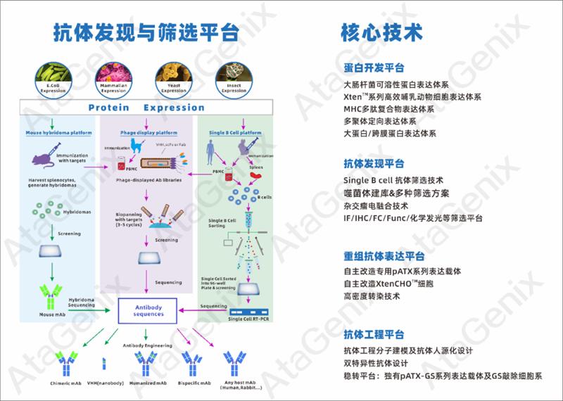 武漢國(guó)家生物產(chǎn)業(yè)基地公共服務(wù)平臺(tái)—光谷抗體發(fā)現(xiàn)與篩選公共服務(wù)平臺(tái)