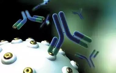 盤點抗體(antibody)具備的那些生物學的功能