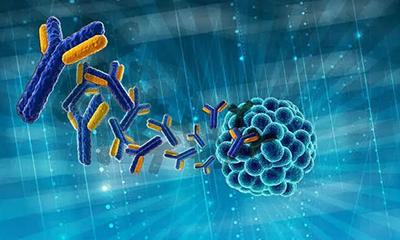 抗體人源化-一種能夠有效提升抗體效果的技術