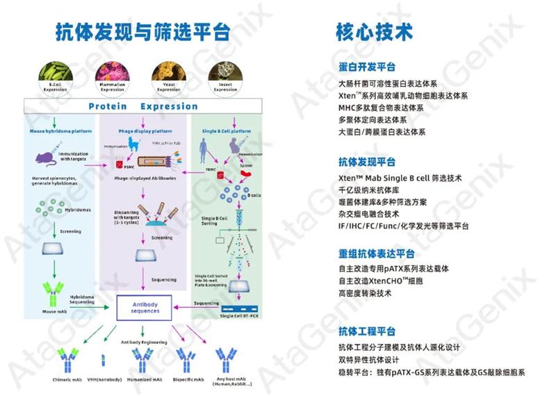 普健生物與環(huán)特生物達成戰(zhàn)略合作