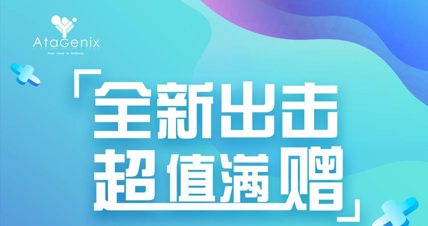 年底重磅 ▏下單即贈禮，滿額就加送~超多實用禮品等你來拿