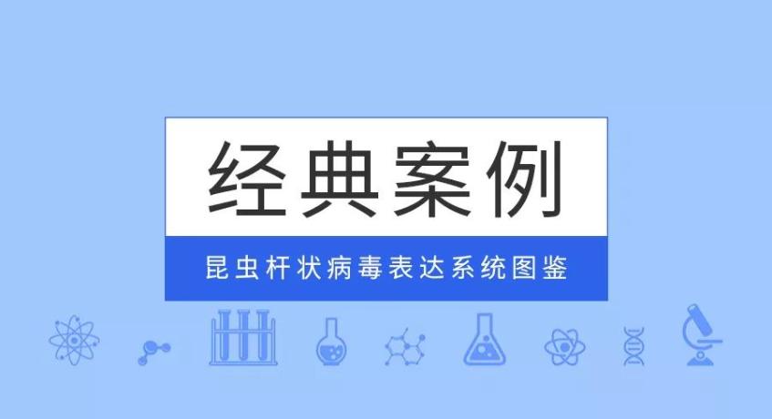 經(jīng)典案例|普健生物昆蟲桿狀病毒表達系統(tǒng)