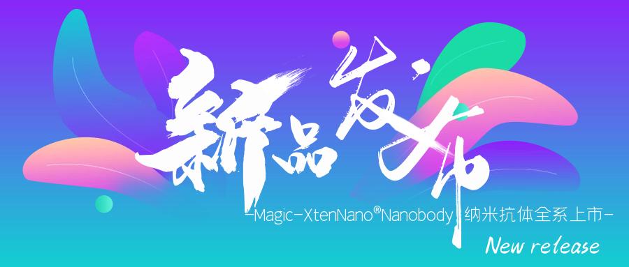 新品發(fā)布|Magic-XtenNano®Nanobody納米抗體全系上市