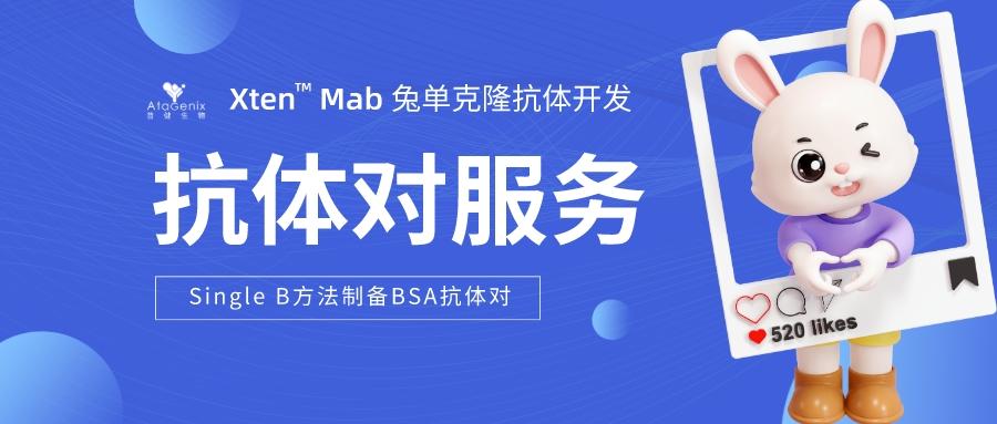 利用Single B方法快速制備高效BSA抗體對(duì)的策略