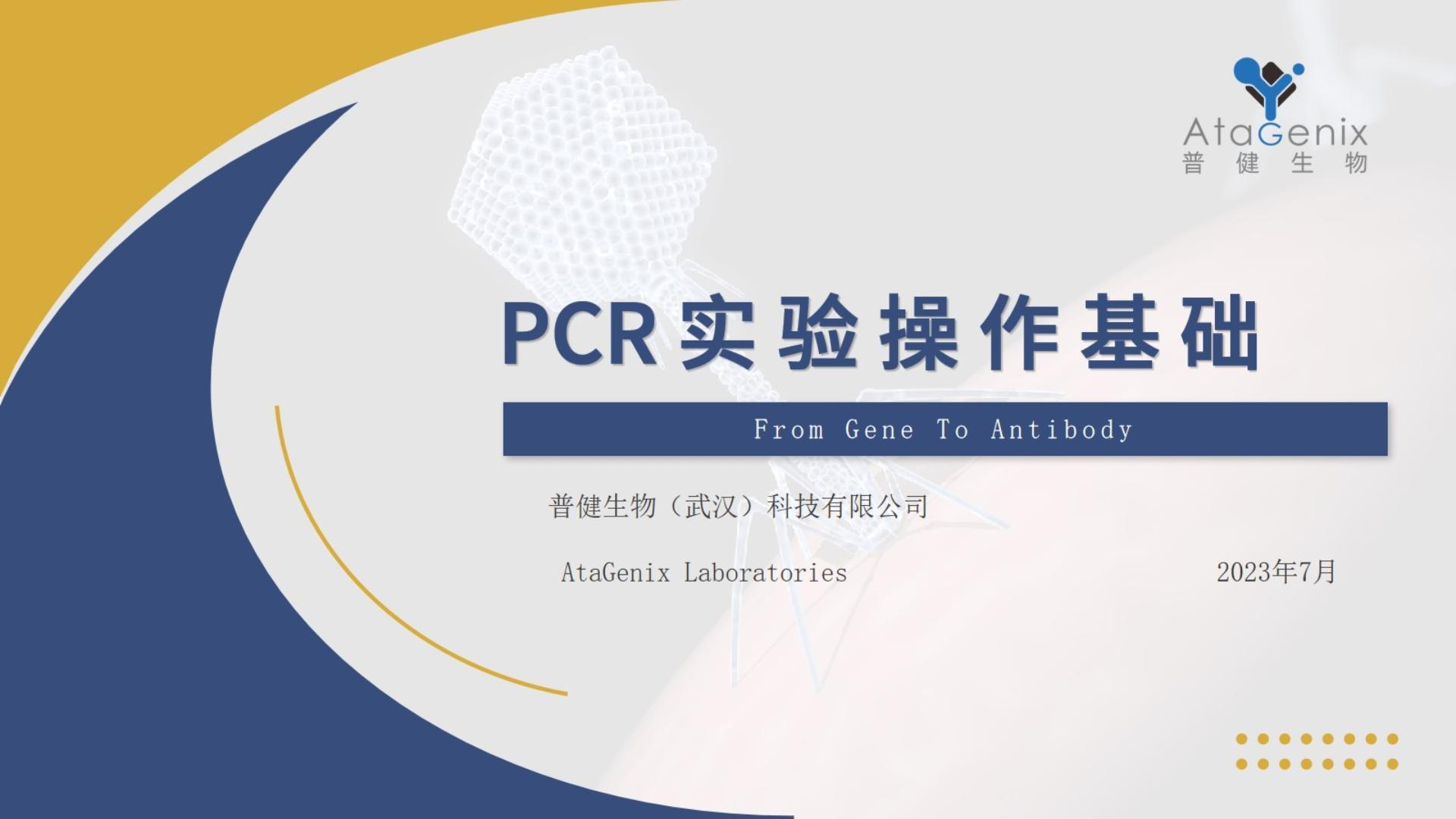 基礎(chǔ)試驗操作篇——PCR實驗
