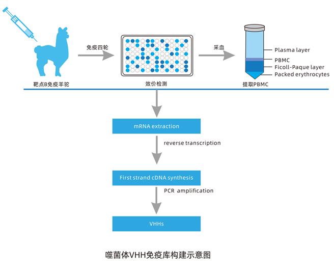 普健生物羊駝基地