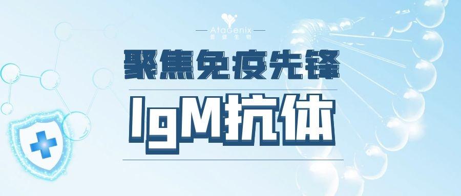 聚焦免疫先鋒|一文帶你了解免疫球蛋白lgM的前生今世