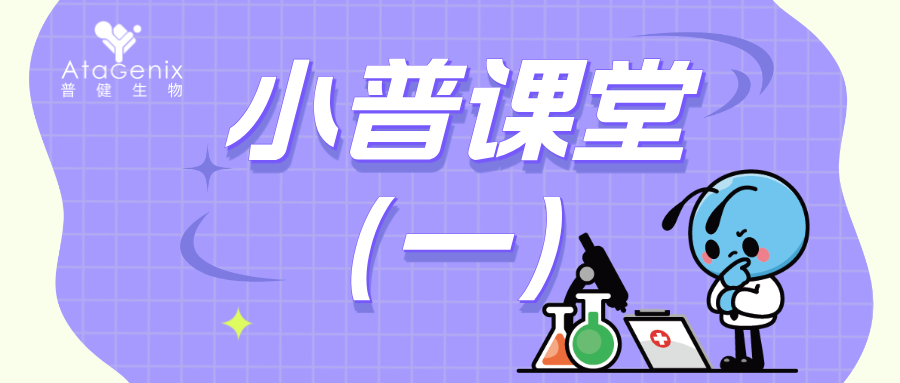 重組蛋白的多元化表達系統(tǒng)（一）